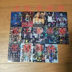 RIZINポスターカードコレクション 14枚セット バラ売り⭕