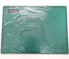 Item thumbnail for item b0e508a3-f003-41bb-bfdc-2d2c68d750c9