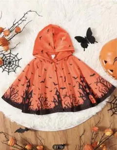 Item thumbnail for item 495b6aef-8104-4571-ab63-c40c3e5e221b