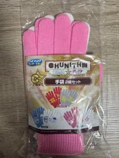 セガラッキーくじ チュウニズム&マイマイ➕オンゲキ 手袋2組セット