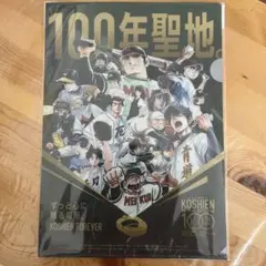 sutera 様用 甲子園　100周年記念　クリアファイル