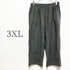 カジュアルパンツ 【3XL】ウエストゴム ゆったり やわらか素材 オーバーサイズ