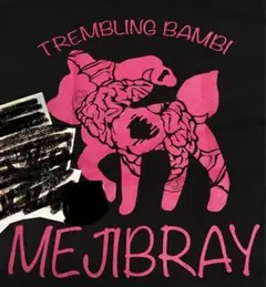 MEJIBRAY グッズまとめ売り mejibray dvd まとめ売り ライブDVD - メルカリ