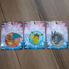 ポケモン　ワッペンセット