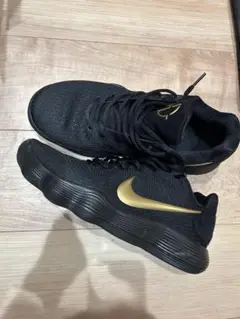 Nike ハイパーダンク　ロー