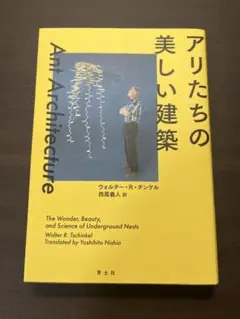 アリたちの美しい建築