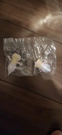 レオパードゲッコー ブリザード