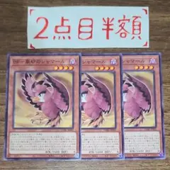 BF-嵐砂のシャマール 3枚