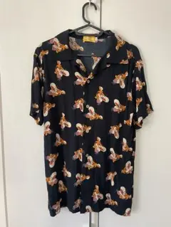 Item thumbnail for item 43b2163b-ffc5-4d63-b0c5-7f2f2810f3a2