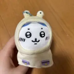 はちわれぬいぐるみ
