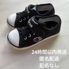 Champion チャンピオン スニーカー マジックテープ付き 16cm