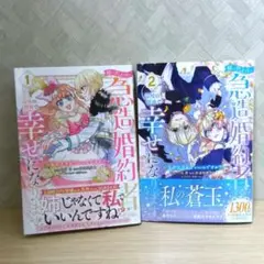 姉の代わりの急造婚約者ですが、辺境の領地で幸せになります! ～私が王子妃でいい…