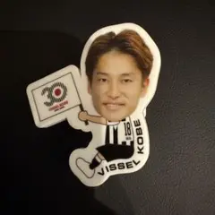 ヴィッセル神戸 井出遥也 30周年抱っこちゃん