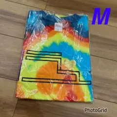 大竹伸朗　Tシャツ　直島　限定　アイラブ湯