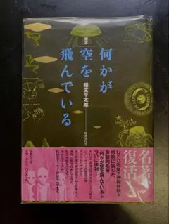 絶版 帯付き 稲生平太郎 定本 何かが空を飛んでいる 定本 何かが空を飛んでいる | 稲生平太郎 |本 | 通販 | Amazon