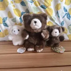 森のくまさん ぬいぐるみ SS