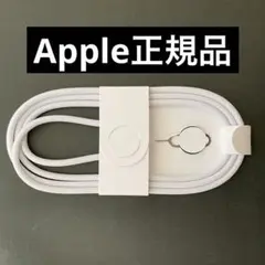 Apple純正 USB-C 60W 編み込み式 充電ケーブル 08240432