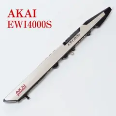 人気絶頂 2025年最新】ewi4000sの人気アイテム メルカリ - その他