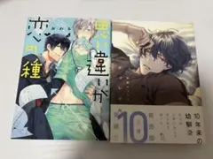 BL 本 漫画 ディレイル 思い違いが恋の種 2冊セット