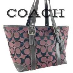 【美品】 COACH コーチ ハンドバッグ シグネクチャー ブラウン