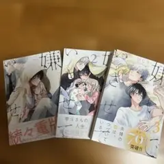 嫌いでいさせて 3巻セット