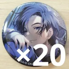 プロセカ 缶バッジ 20点 セット KAITO vol.40A KAITO プロセカ グリッター缶バッジ 40A 10個 - メルカリ