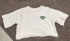 WEGO ショート丈Tシャツ Fサイズ