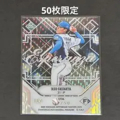 BBM 2025 北海道日本ハムファイターズ 柴田獅子 50枚限定 RC