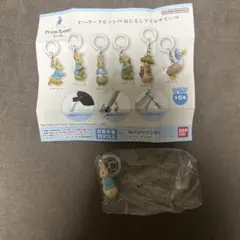 ピーターラビット　めじるしアクセサリー　デザインC　新品未使用品