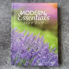 【3日間限定出品】MODERN Essentials ハンドブック