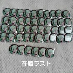 パラライ　御子柴賢太　缶バッジ　RAGE　　46点