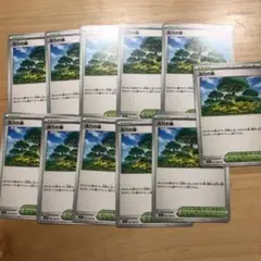 活力の森　11枚セット