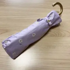 Item thumbnail for item 9ffd5333-5550-4c52-9f71-4bc4cd00287d