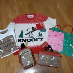 大幅値下げ中☆COACH×PEANUTS スヌーピーコラボ 福袋 2023