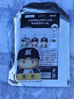 千葉ロッテマリーンズ パワプロマリーンズ マルチチャーム