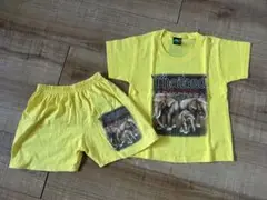子供服 ゾウ柄 セットアップ 半袖Tシャツ&ハーフパンツ 半ズボン 短パン 黄色