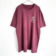 CHAPMAN CRAFTED 【M】 チャップマンクラフテッド Tシャツ