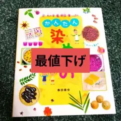 かんたん染めもの 春田香歩
