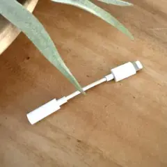 オーディオアダプタ《Apple純正》Lightningコネクタ