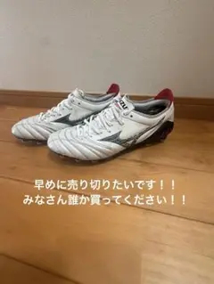 モレリアネオ３ 26cm