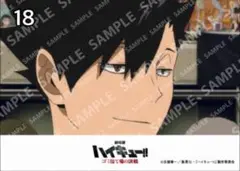 【新品】劇場版ハイキュー!! ゴミ捨て場の決戦 ブロマイド 黒尾鉄朗