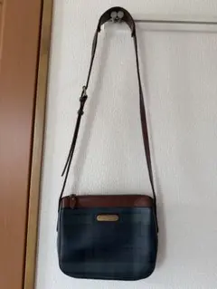 Item thumbnail for item ce3154dd-072d-4ee4-aceb-5ccd493a8b63