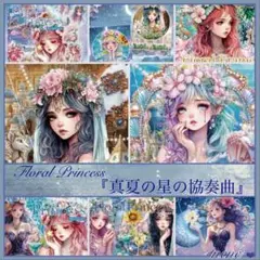 《新作》◇ nene様『真夏の星の協奏曲』全８種おすそ分けセット◇