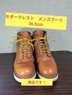 Item thumbnail for item 4dcf10fa-4fdf-4364-a411-3310fe9d8111