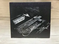 Sugar / grave of mind
