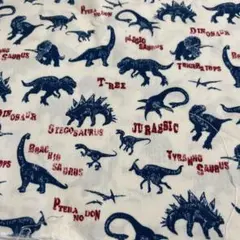 ☆新品未使用　恐竜柄カットクロス☆