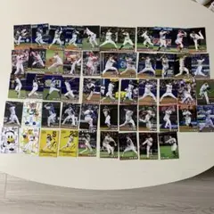 プロ野球チップスカードセット53枚