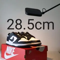 Nike Dunk Low Retro Black/White