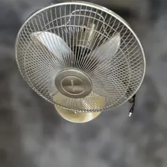 Electrolux エレクトロラックスEFN30(W) 扇風機 ホワイト Amazon | Electrolux クラシックサーキュレーター ホワイト