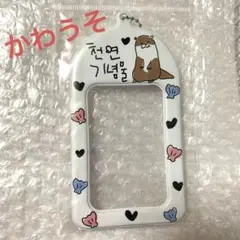 韓国Ducky Worldトレカケース★カワウソ★